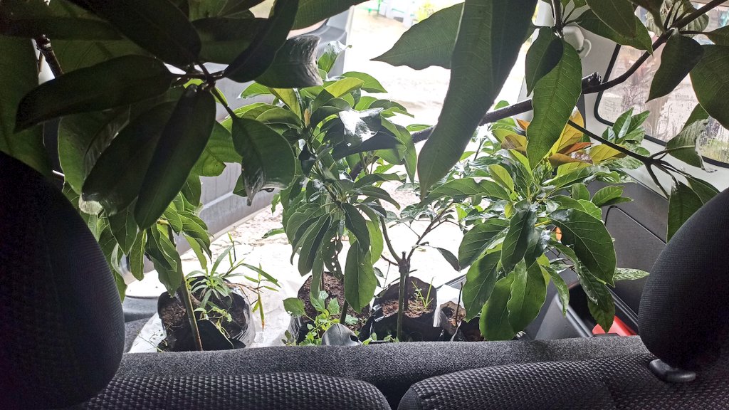 Dewi Nurpitasari (@nurpitasaridewi) on Twitter photo 