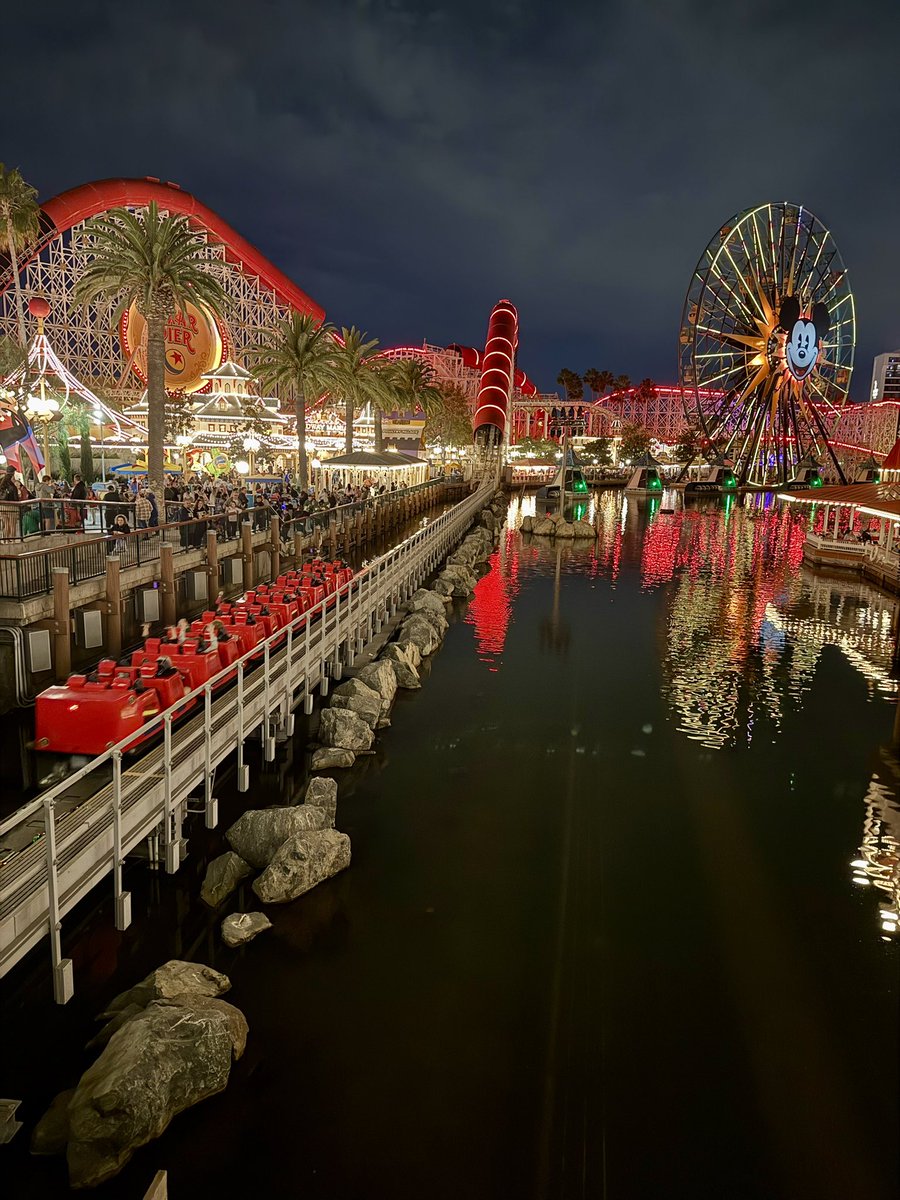 °o° Tara °o° tweet media