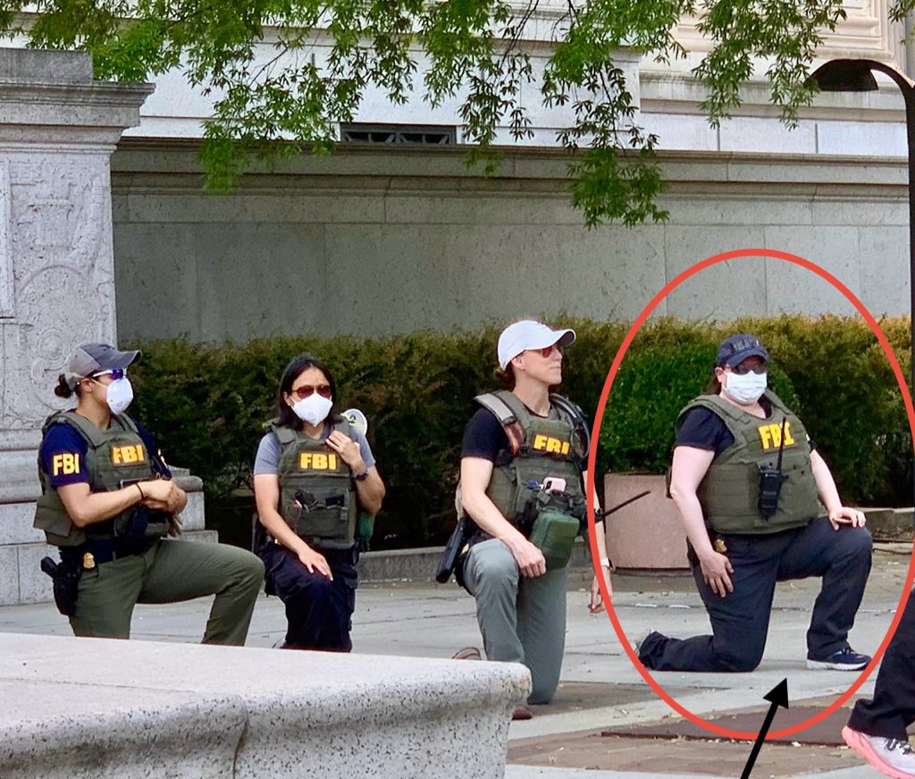 Benny Johnson tweet media