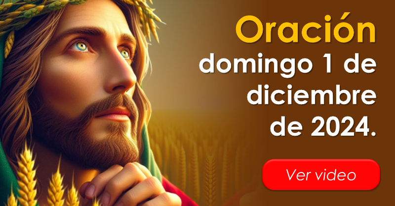 oracion_milagro's tweet photo. Oración en vídeo para el domingo 1 de diciembre de 2024: https://t.co/82xI66B35b