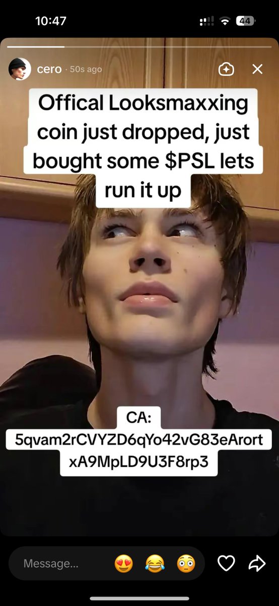 We are onboarding a new looksmaxxer every hour.

Cero Seroo, the PSL shuffler, has just bought.

$PSL mogs every other coin.

5qvam2rCVYZD6qYo42vG83eArortxA9MpLD9U3F8rp3