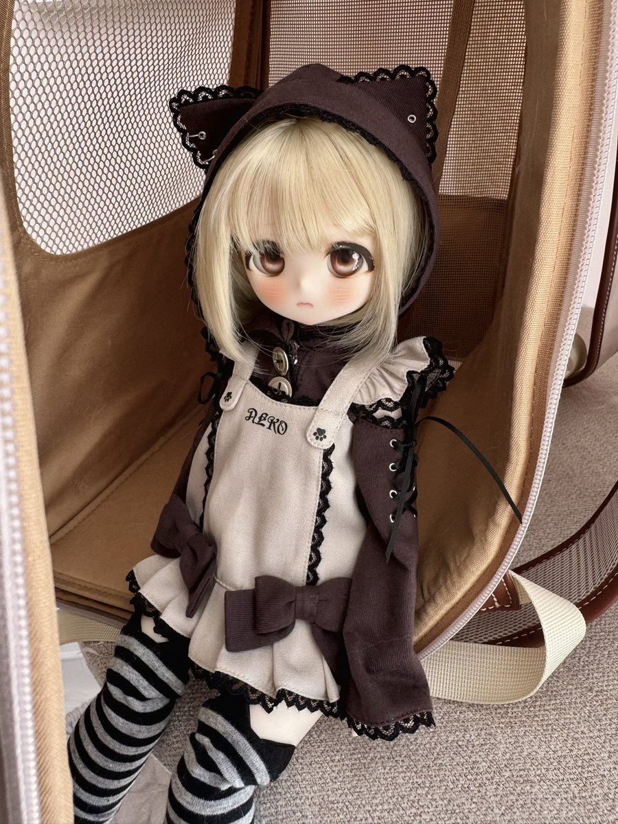 …主人は猫をどこに連れて行きますか🥺

#うちのこかわいい
#にゅくてりこ
#ドール服
#imomodoll