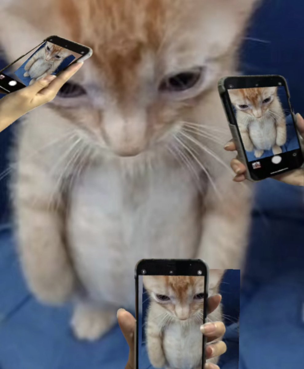 241201 팬싸 출근 

#더보이즈 #THEBOYZ 
#주연 #JUYEON