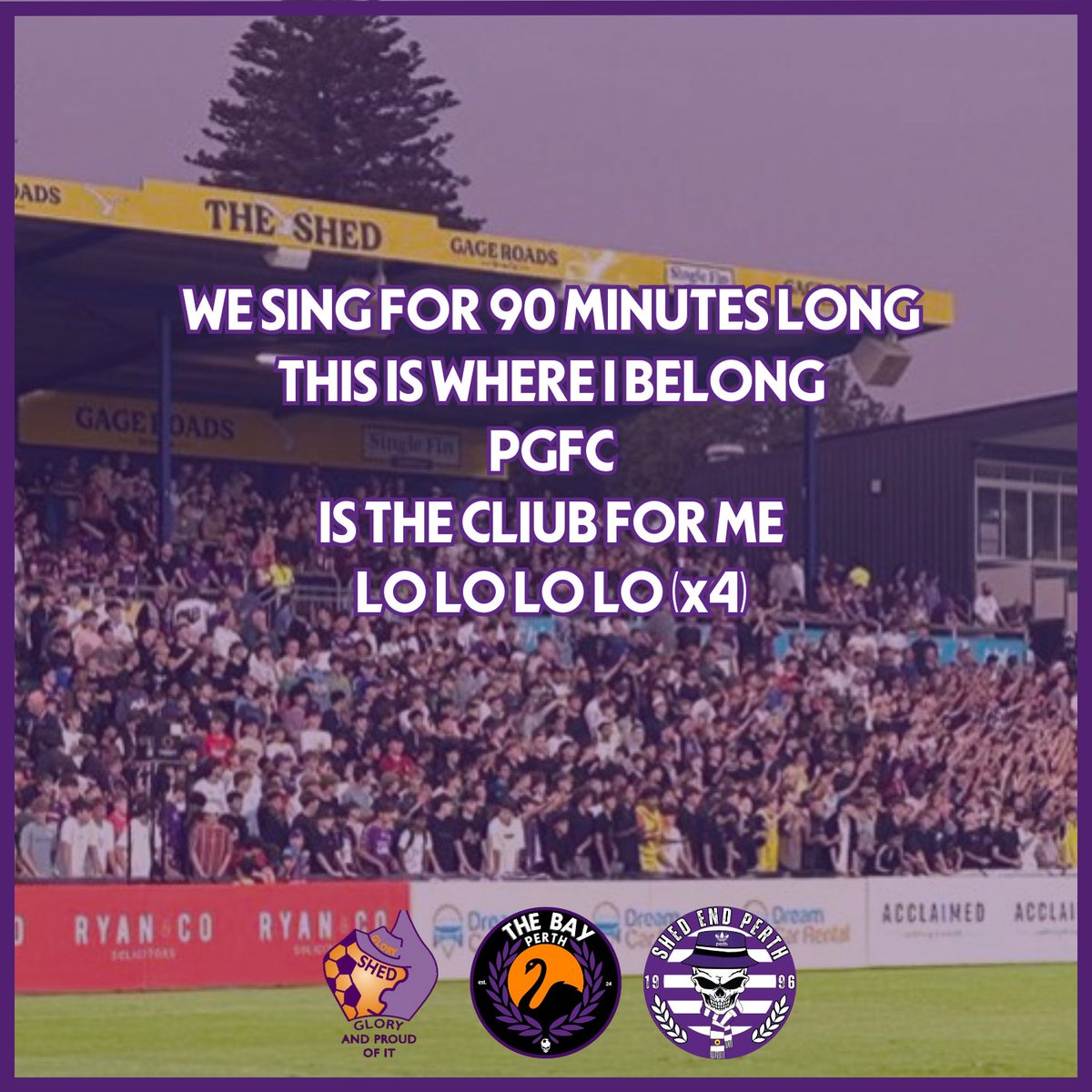 The Bay Perth tweet media