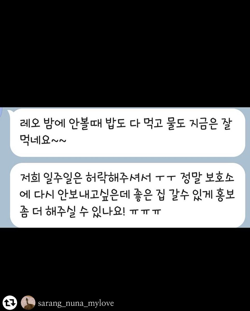 🐻‍❄️웅이🐻‍❄️ tweet media