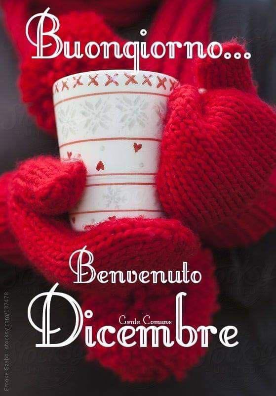 RITABIANCHi56 tweet media