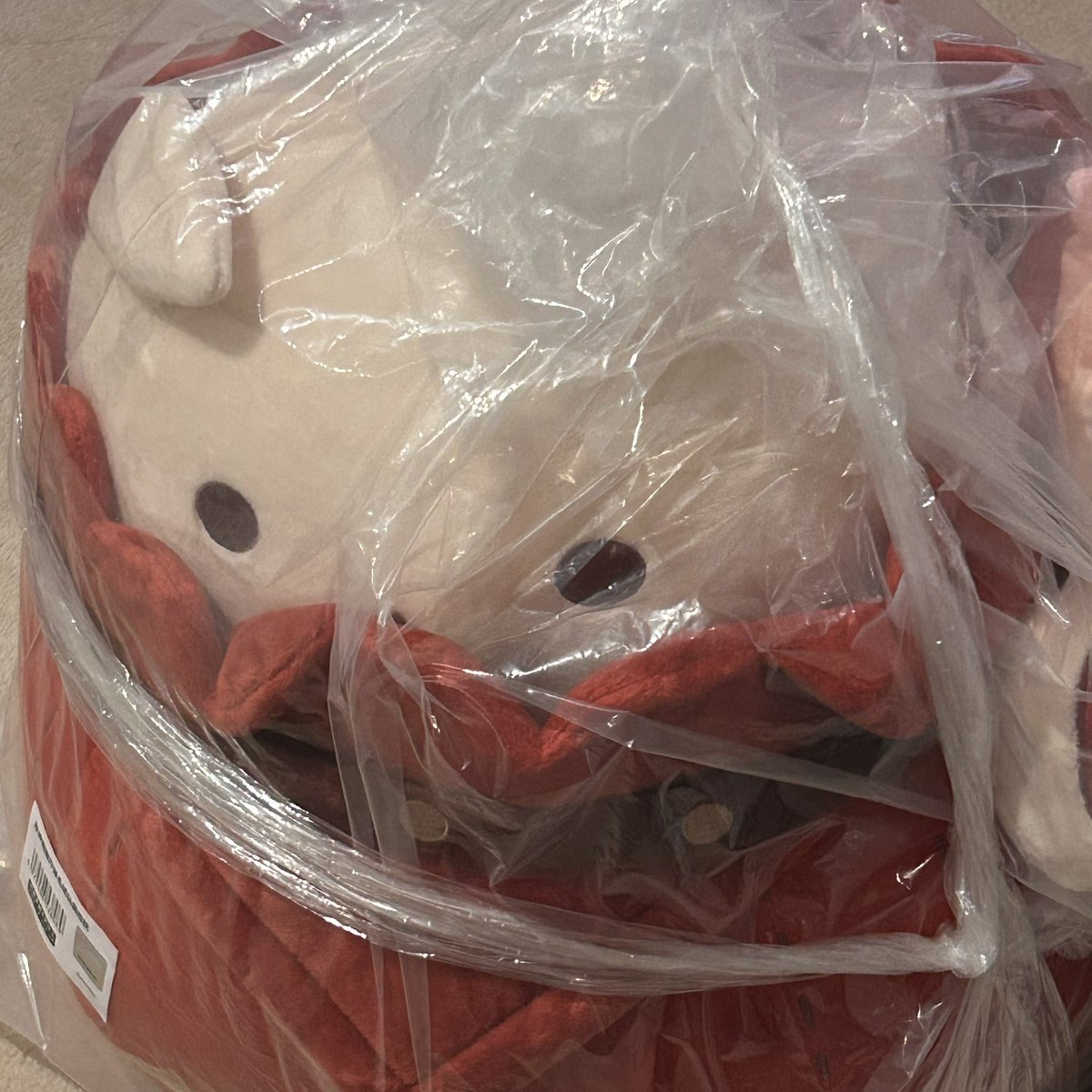 어르니라서 좋은점: 맘대로 굿즈 삼
어르니라서 안좋은점: 맘대로 굿즈사면 굶어야함