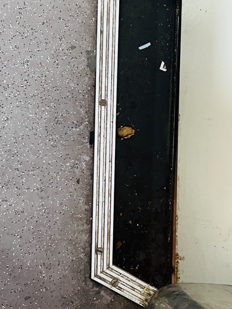 ashzmshz's tweet photo. Current visit of India took Vande Bharat for Lucknow to Dehradoon as heard a lot

We are really bad in hygiene and govt failed in basic practice in concept of  Deep cleaning. havent been deep cleaned since inauguration

@RailwaySeva @RailMinIndia @AshwiniVaishnaw @narendramodi https://t.co/wXqps7ctoe