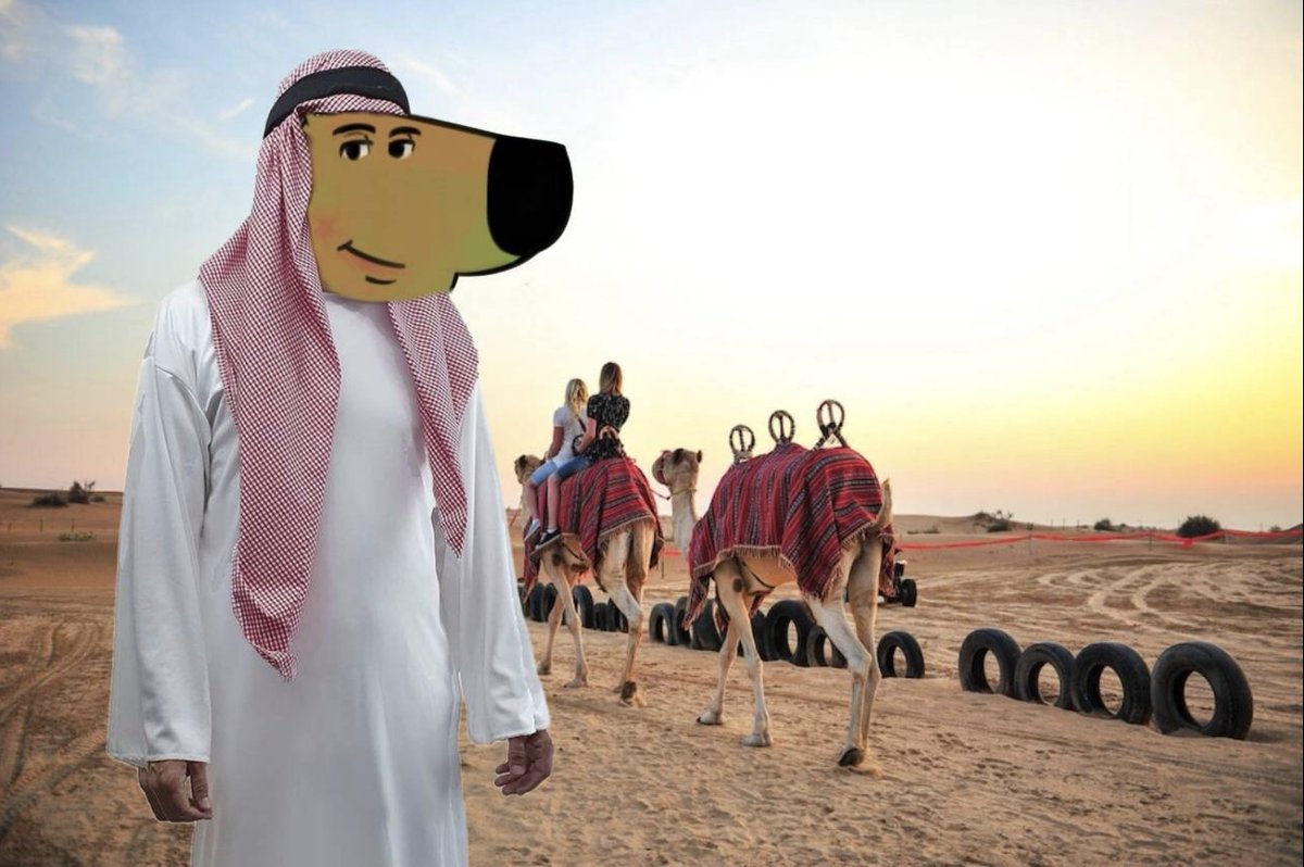 chillguycto's tweet photo. صباح الخير. https://t.co/SHsGVAAbe4