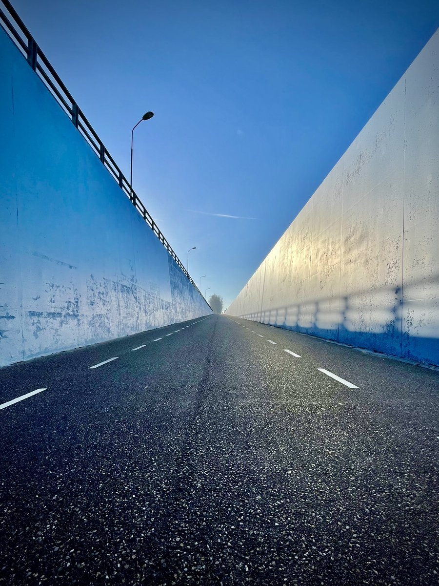 Rob Hoeijmakers tweet media