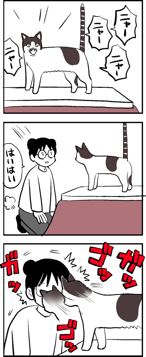 子供が二人とも進学で家を出ていってから
ねこが甘ったれになった気がする
毎朝起きたらこたつの前に座るよう強要されるようになった。座ると激しく頭突きされる
さみしいねえさみしいねえ…
そこそこ痛いです