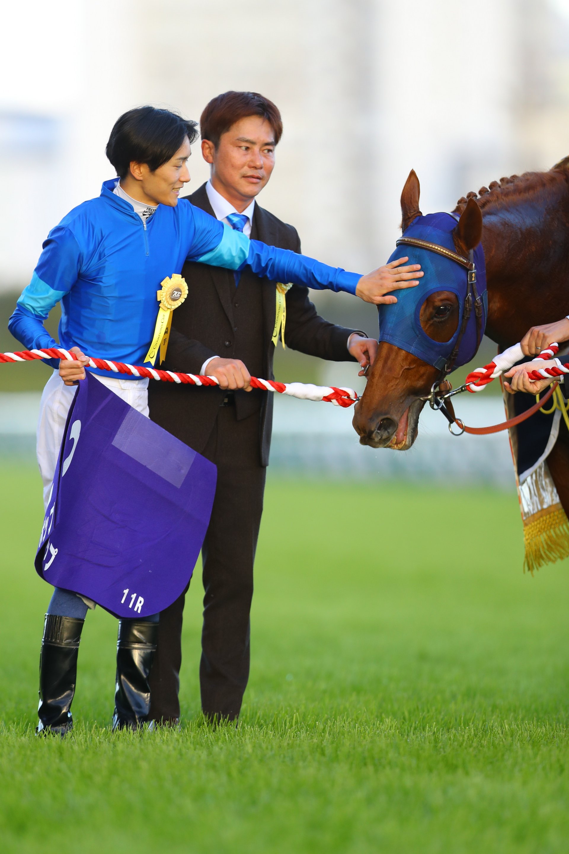 JRA-VAN公式 on X: JRA-VAN公式 on X: