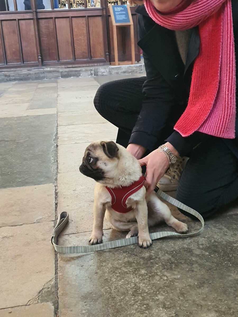 Salisbury Cathedral tweet media