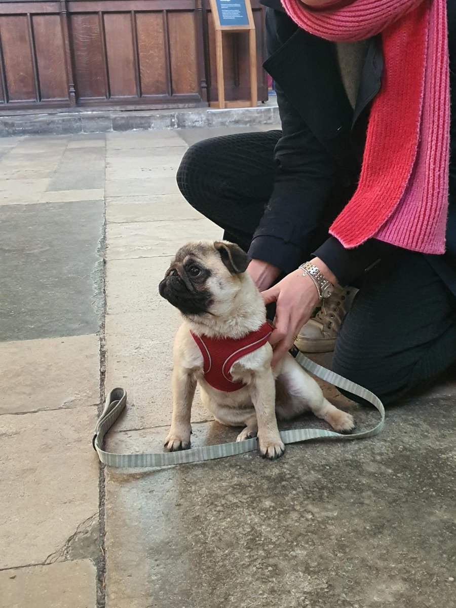 Salisbury Cathedral tweet media