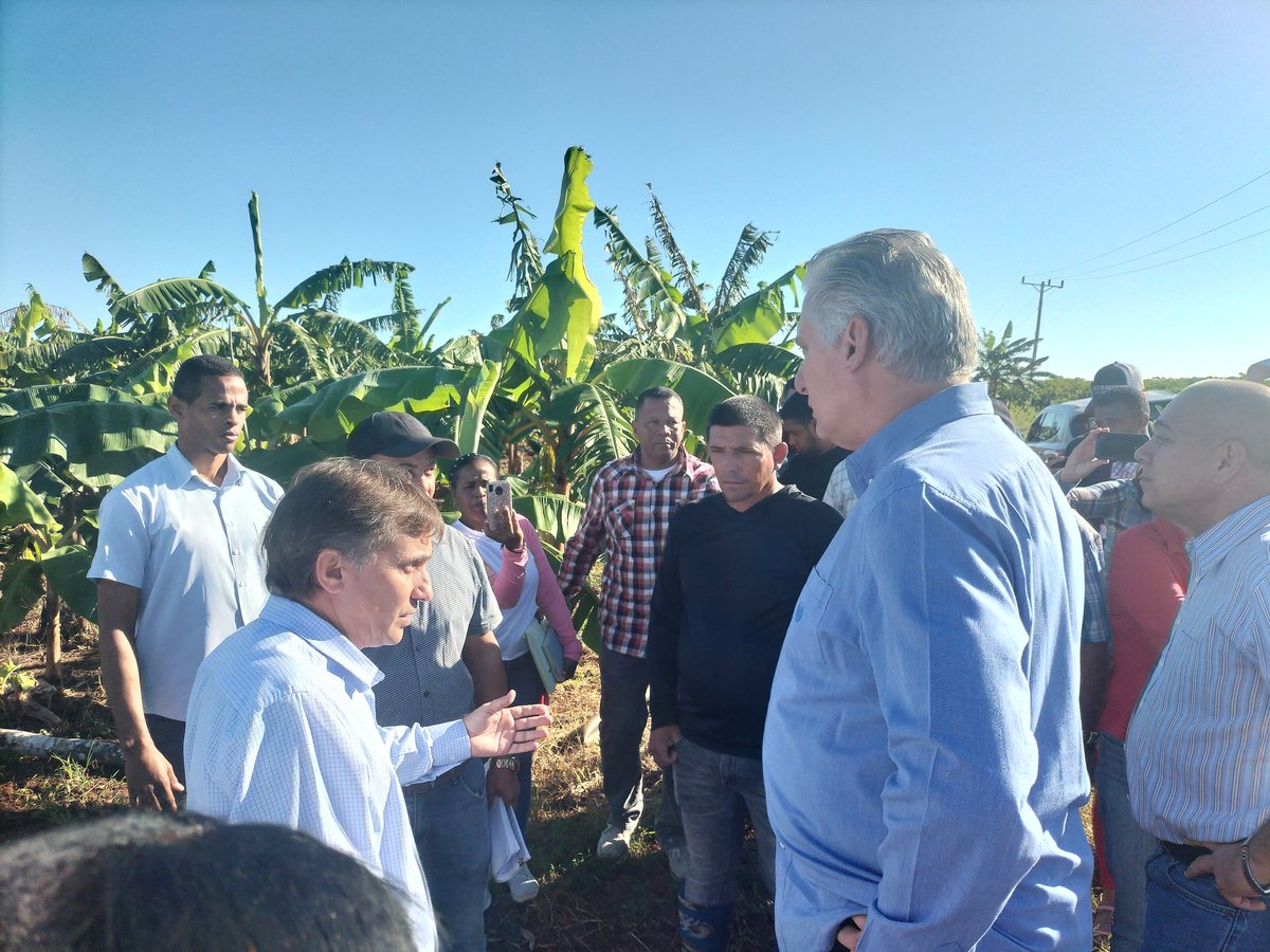 🪓Mambi Tunero🇨🇺 (@mambitunero) on Twitter photo <a href="/RebeXCuba/">RebeXCuba</a> <a href="/DiazCanelB/">Miguel Díaz-Canel Bermúdez</a> <a href="/DrRobertoMOjeda/">Dr. Roberto Morales Ojeda</a> <a href="/MirticaMesa/">Mesa Mirta Luna</a> <a href="/AngelicaPupo2/">Angelica Pupo🇨🇺</a> <a href="/AaccTatu/">Tatu AACC</a> <a href="/AAlex29974/">AronAlex</a> <a href="/lidiamaria82/">Lidia Maria</a> <a href="/Agramontinof/">El Agramontino</a> <a href="/azulinfinit0/">Adriana Andrea</a> <a href="/CaimanGuerrero1/">Caiman Guerrero</a> El municipio Pedro Betancourt demostró que estamos #DePieYCombatiendo
#MatancerosEnVictoria
#YoSigoAMiPresidente
#DeZurdaTeam 🤝🦈 <a href="/RebeXCuba/">RebeXCuba</a> <a href="/DiazCanelB/">Miguel Díaz-Canel Bermúdez</a> <a href="/DrRobertoMOjeda/">Dr. Roberto Morales Ojeda</a> <a href="/MirticaMesa/">Mesa Mirta Luna</a> <a href="/AngelicaPupo2/">Angelica Pupo🇨🇺</a> <a href="/AaccTatu/">Tatu AACC</a> <a href="/AAlex29974/">AronAlex</a> <a href="/lidiamaria82/">Lidia Maria</a> <a href="/Agramontinof/">El Agramontino</a> <a href="/azulinfinit0/">Adriana Andrea</a> <a href="/CaimanGuerrero1/">Caiman Guerrero</a> El municipio Pedro Betancourt demostró que estamos #DePieYCombatiendo
#MatancerosEnVictoria
#YoSigoAMiPresidente
#DeZurdaTeam 🤝🦈