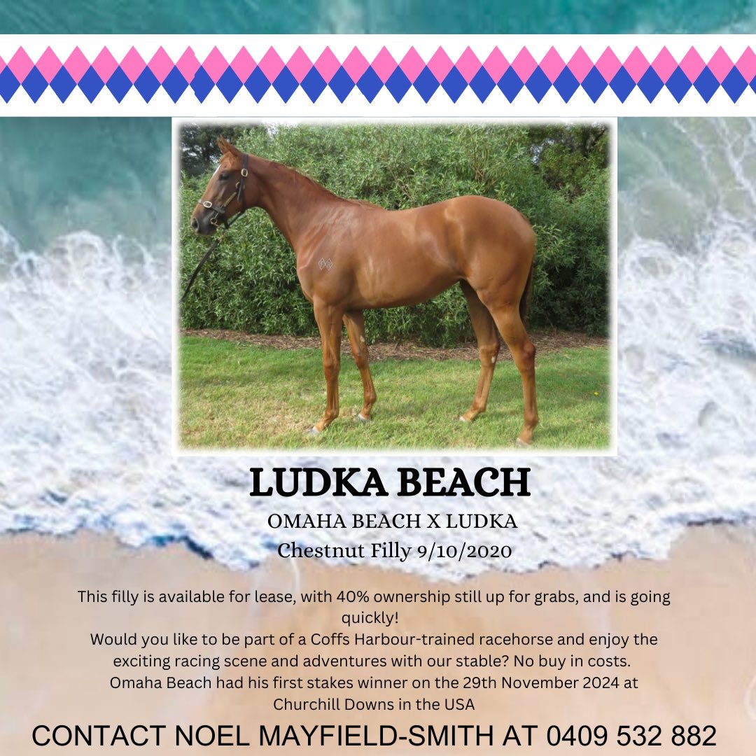 Noel Mayfield-Smith (@noelm_smith) on Twitter photo 