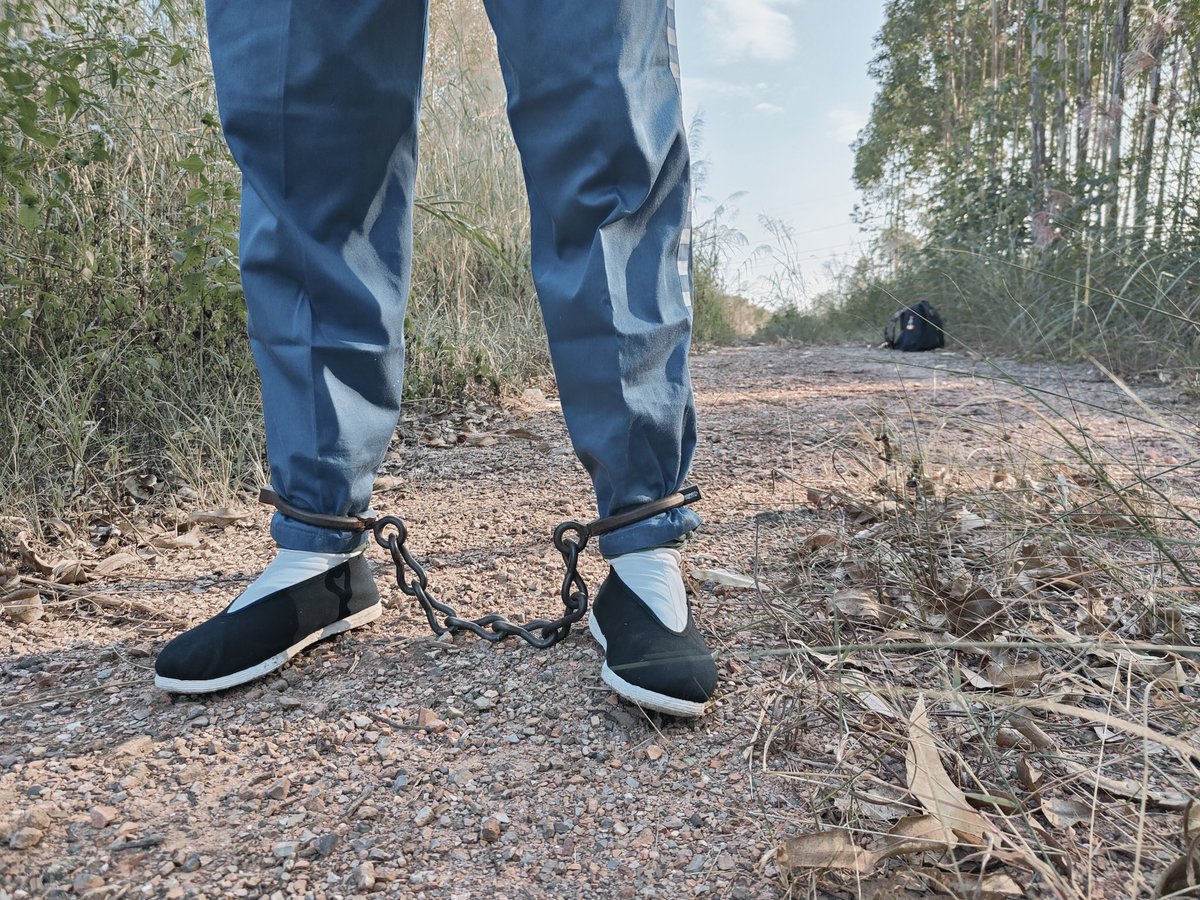 一点新奇的体验。