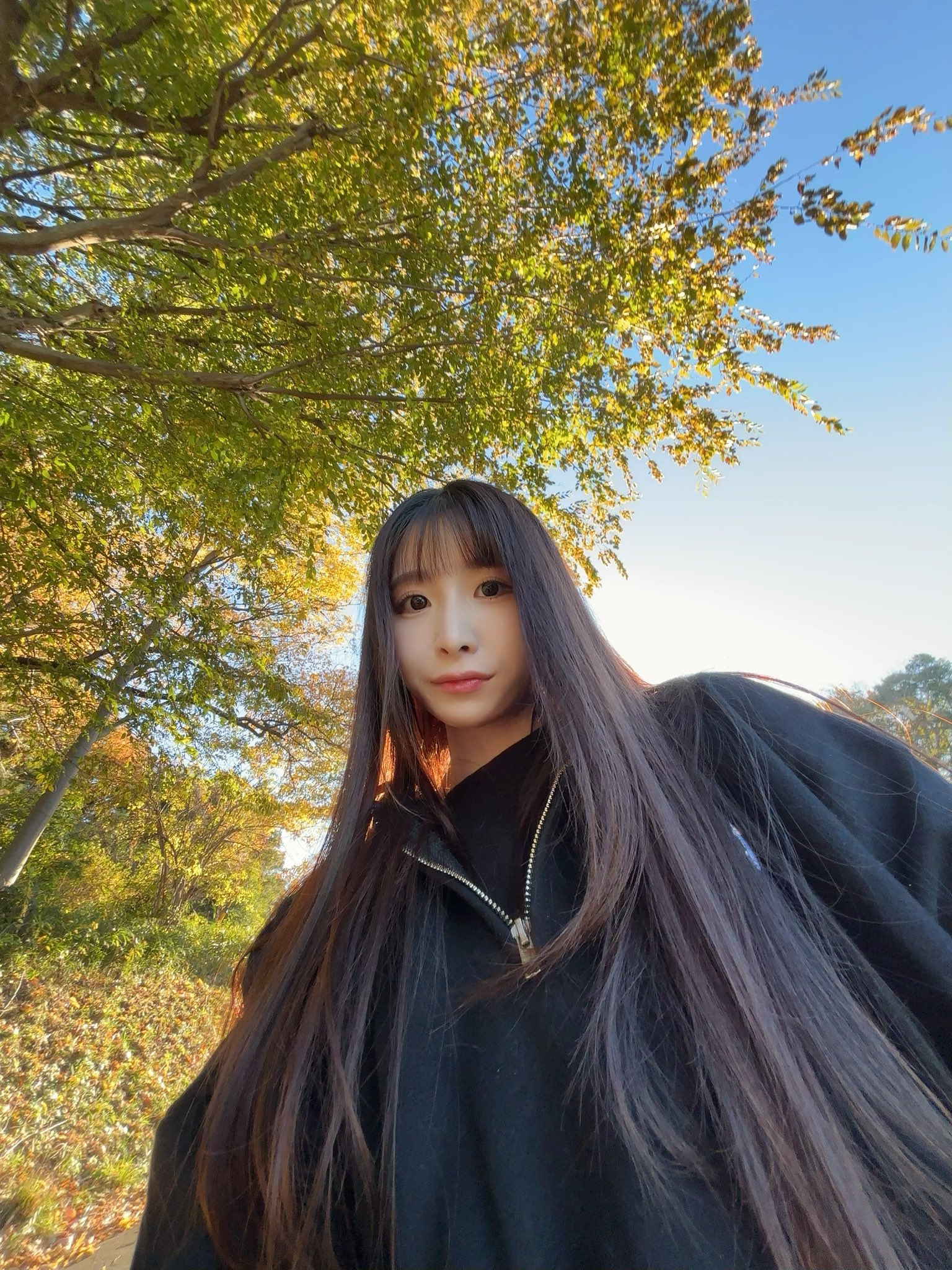 彩葉 彩葉 (@iroha_0521_) / X