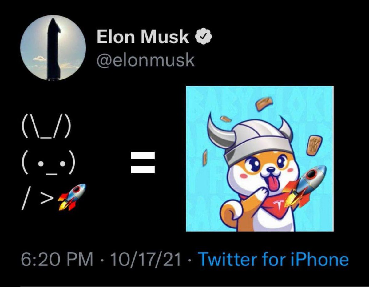 Dannyzorroo's tweet image. Get #DOGE rewards by holding #BABYFLOKI 
@thebabyfloki