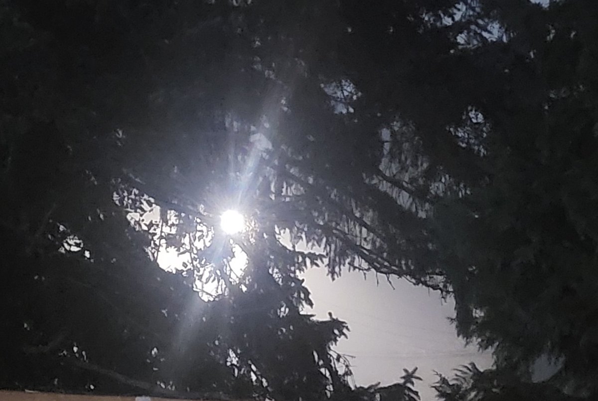 LF_Carpenter08's tweet photo. This is the moon at 12: 45 midnight
SO Bright. Like day. #moon #mystery #space #sun #light #SObright #why #abnormal #gettingnormal https://t.co/O4zaoSXke3