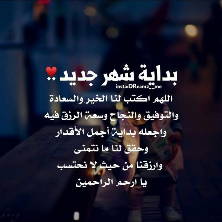 زهرة التوليب ⚘🇴🇲 tweet media