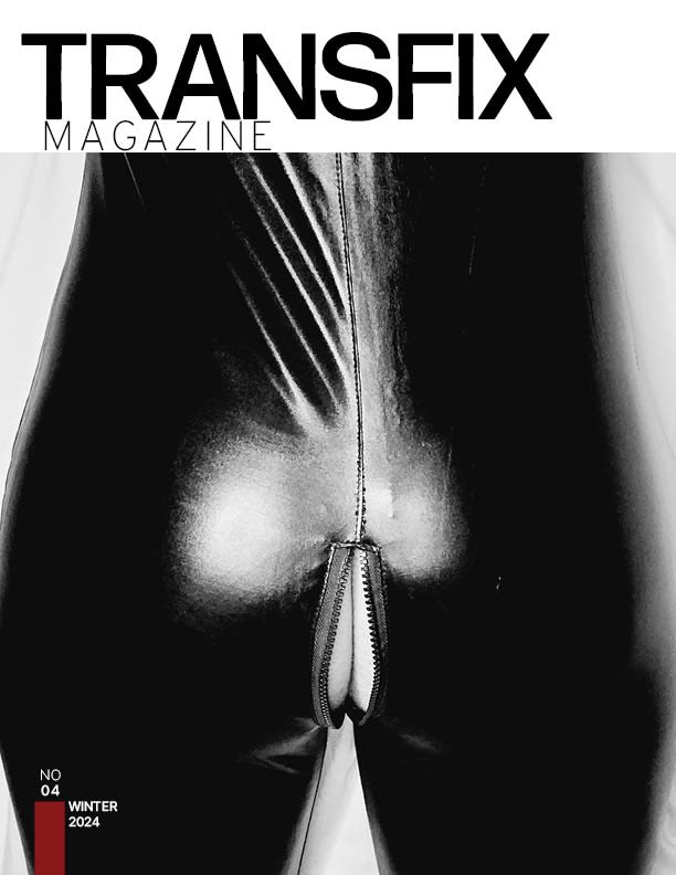 transfixmag's tweet photo. Issue 04 of TRANSFIX MAGAZINE is now available! Get your free copy here https://t.co/6aRn8RYBim https://t.co/TTnHLvnoGO