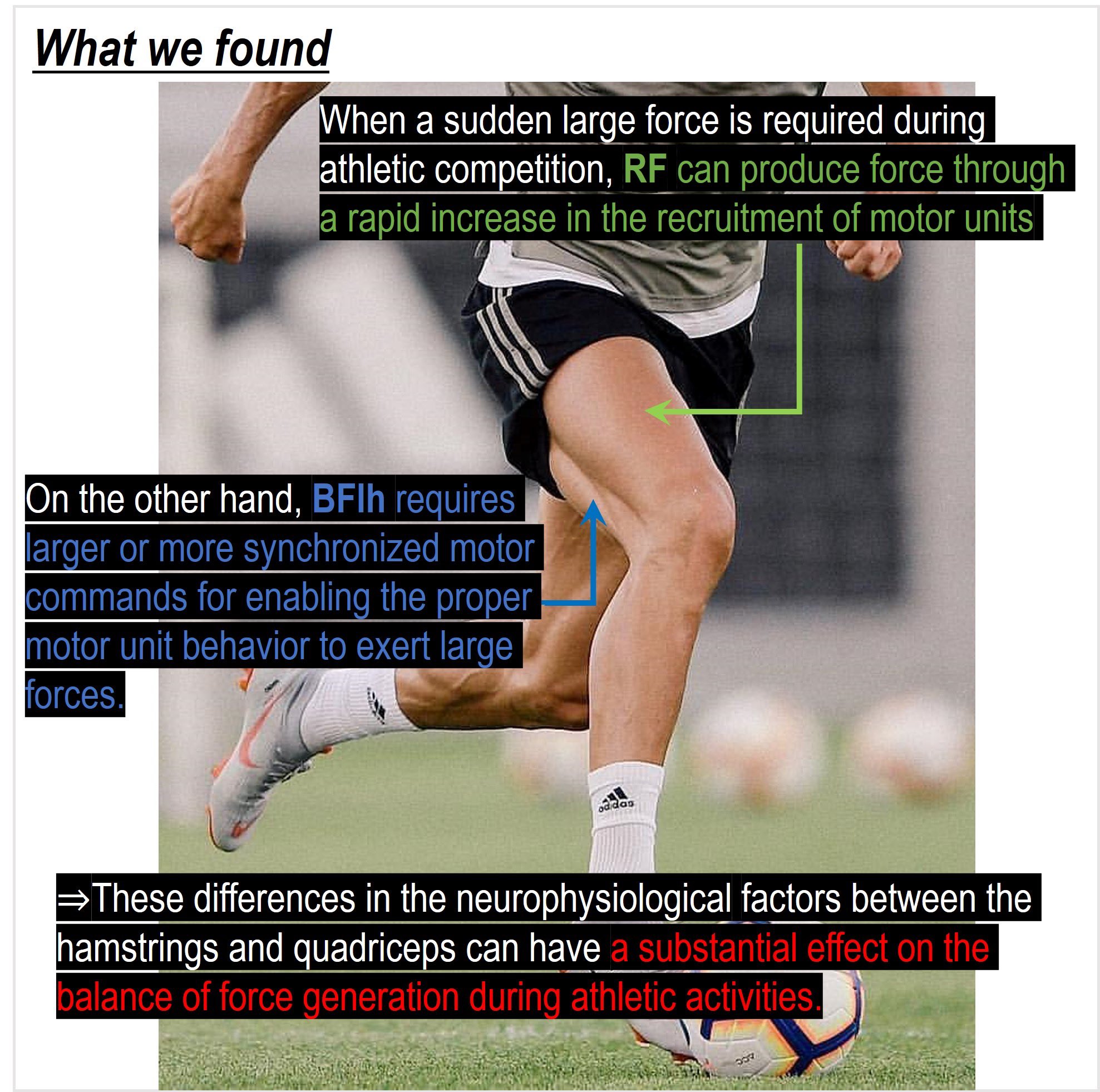 Enda King PhD (@enda_king) / X