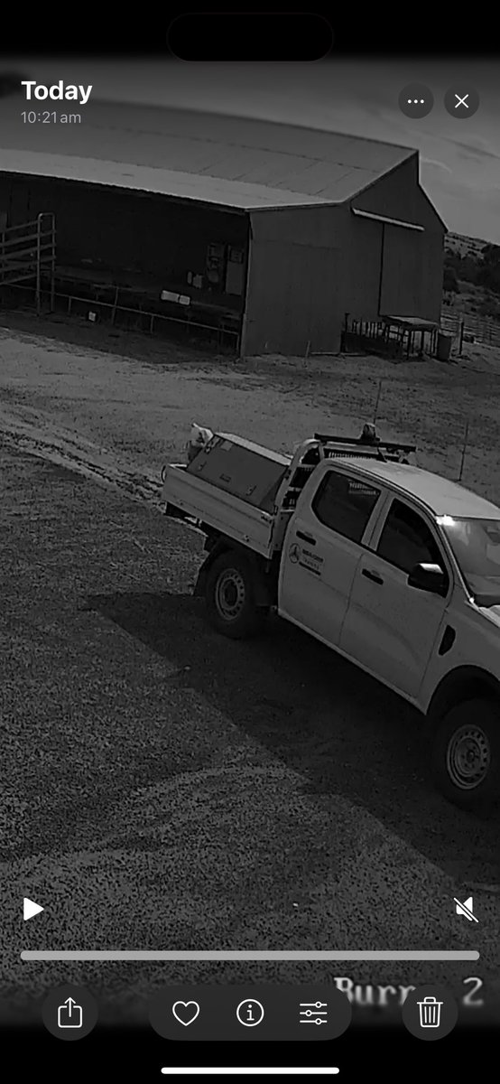 CTALiebeck's tweet image. Calling all detectives, does anyone recognises the logo on the passenger doors? Or better still scrub the image to get a number plate. Thanks 🕵🏻‍♂️