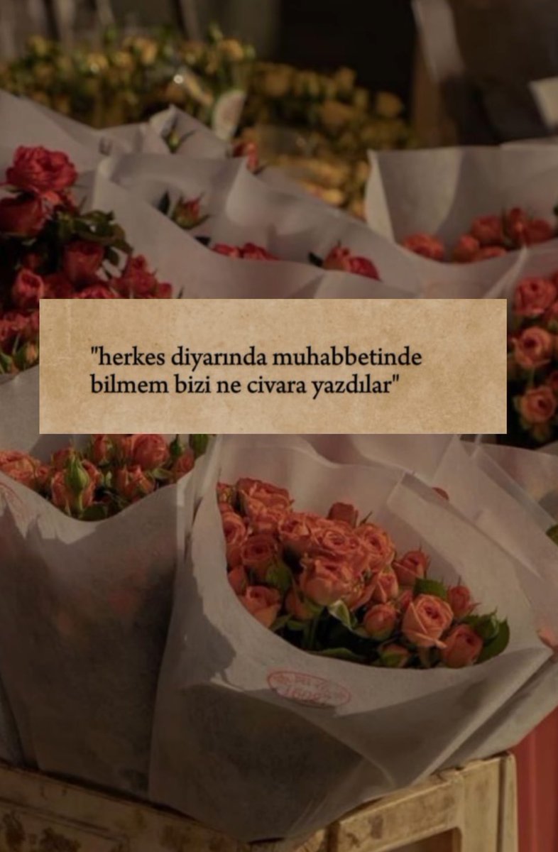 𝔞𝔩𝔟𝔞𝔩𝔦𝔞 (@birmahzunn) on Twitter photo 