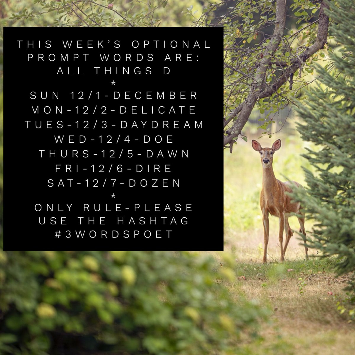 #3wordspoet tweet media