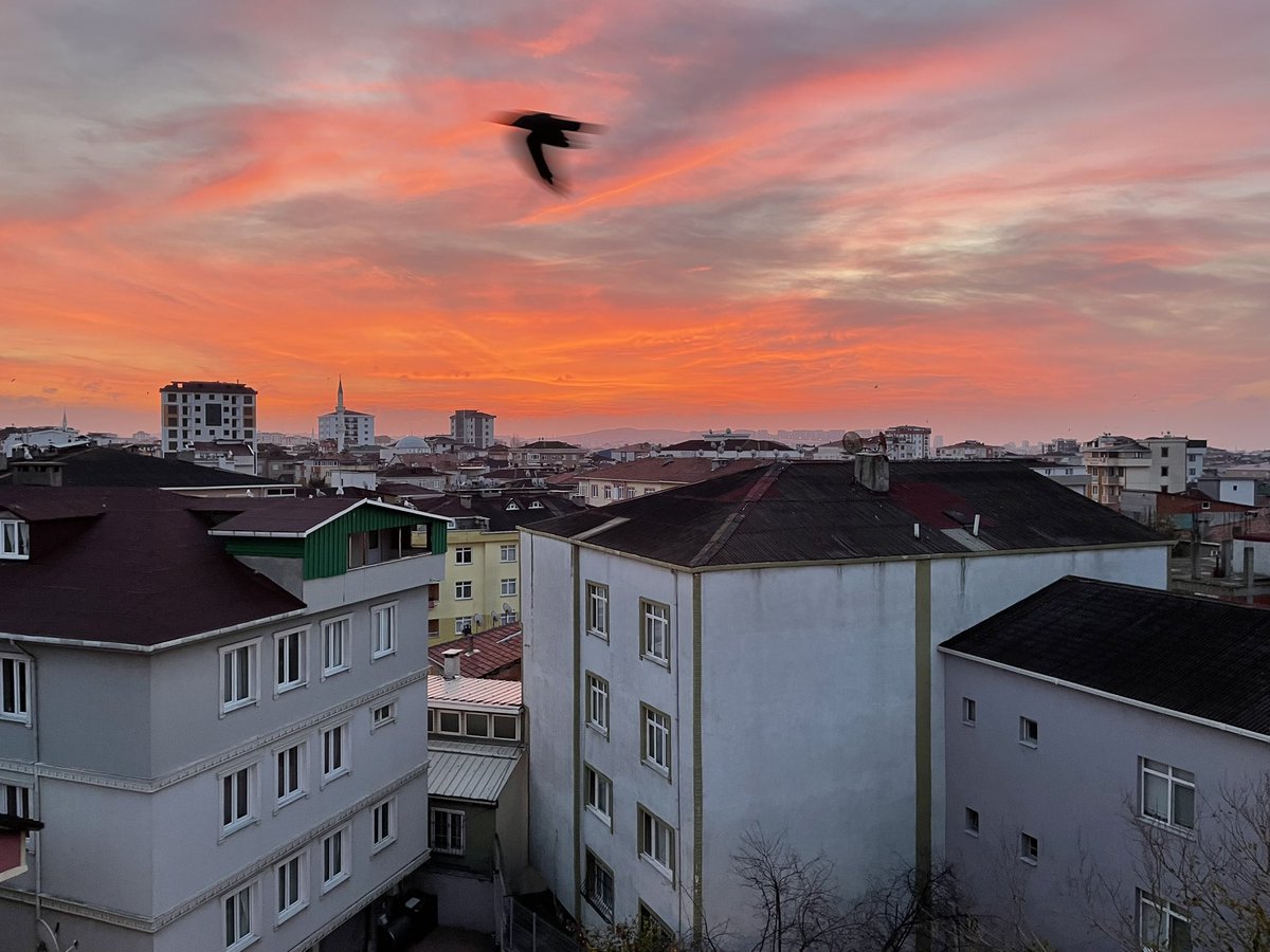 rbrc_dilmac's tweet photo. 01.12.24 
Bir sabah namazı 
Bir gün doğumu ✨
Bugünün rızkı toplandı hamdolsun… ♥️ https://t.co/RYWUN09WFe