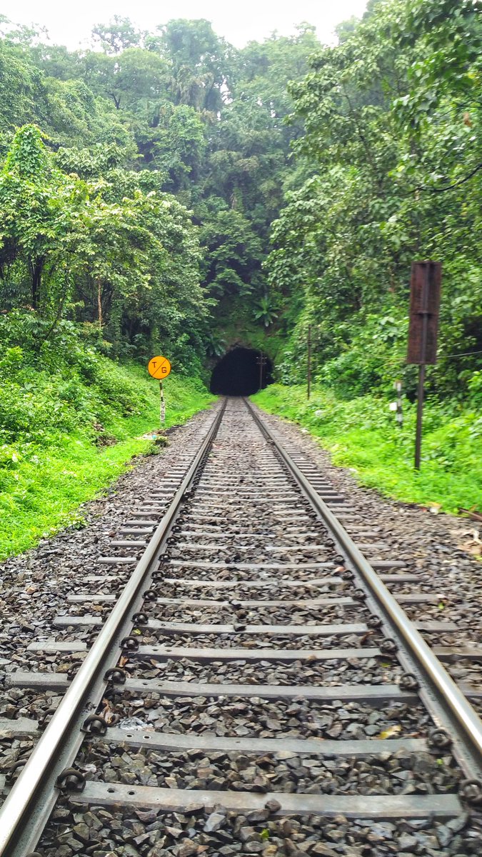 Ghat + Tunnel + Green Nature = Heaven ❤
. 
Single Diesel line in Braganza Ghats 
August 2016
#irailways #IndianRailways #braganzaghat #ghat #tunnel #nature #green #NaturePhotography #NatureBeauty #photooftheday