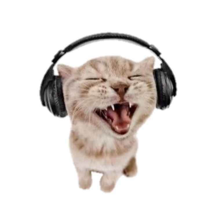 • FlanAtina 🔞 tweet media