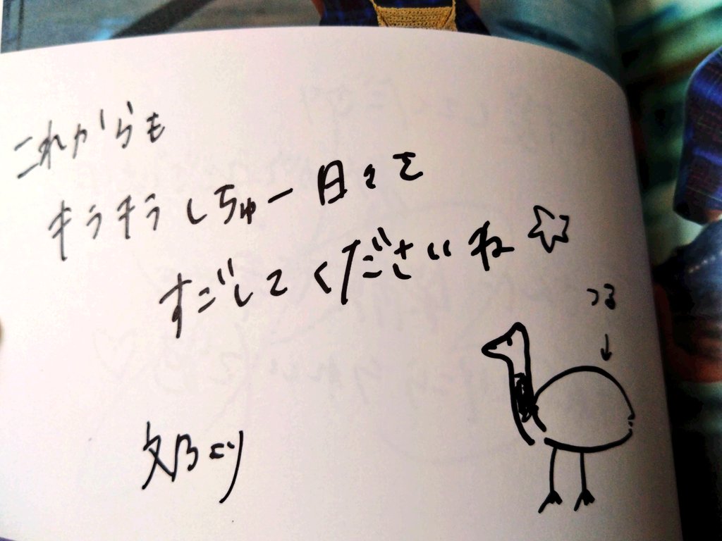 DDY@れーなさん命名（ゆう） tweet media