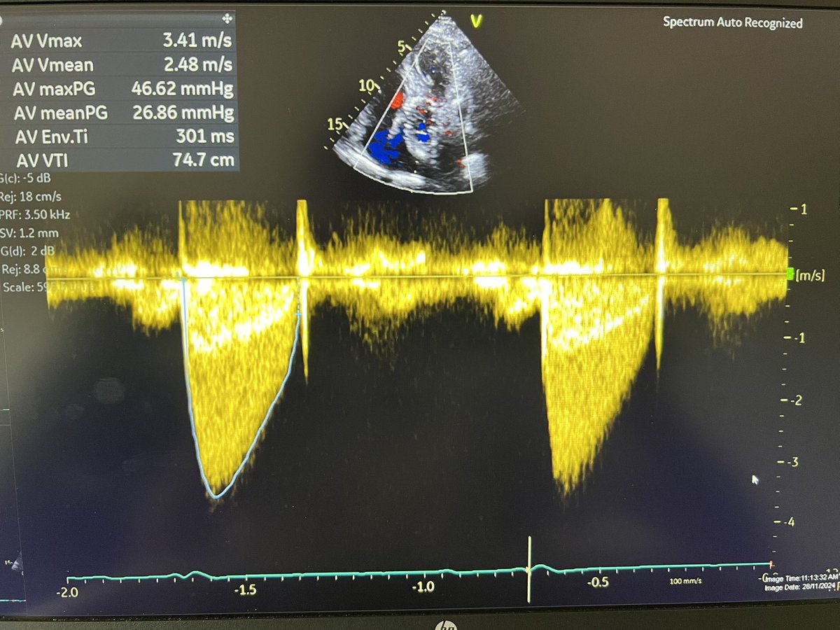 Bianca Coelho tweet media