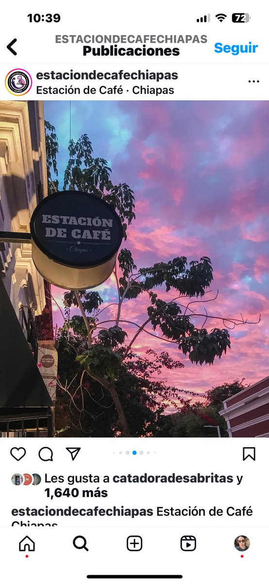 RebecaBuenDia04's tweet photo. Así de tristes las cosas en #culiacan tras casi 3 meses de violencia imparable. No es tu negocio pero sin duda alguna te invade una amargura y nostalgia en el cuerpo.  Estamos solos, tu, tu hermano, tus hijos, tus padres, tus vecinos, tus comerciantes… YO. #Sinaloa https://t.co/w2G0efMRej