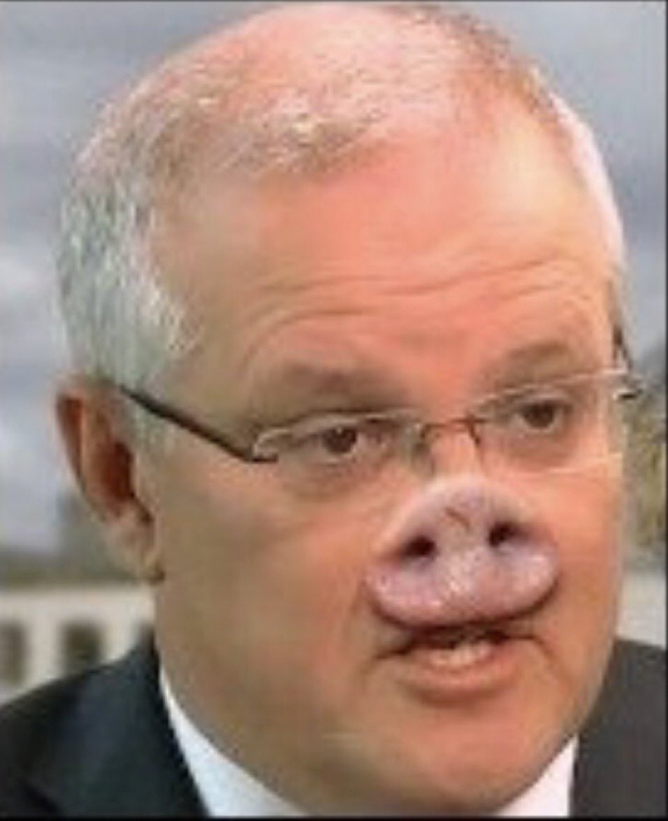 Pete G ALP Union Thug 👊💪🌊🐀 #Vote1Labor tweet media