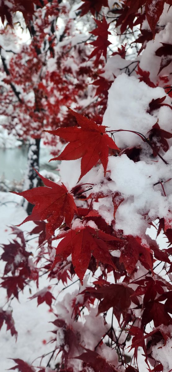 고래🐋 알🥚 (@goraearl) on Twitter photo 