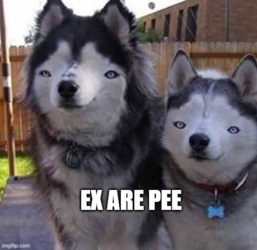 exarepee_cto's tweet photo. #ExArePee moon thoon
https://t.co/LjoQSChmD0
$XRP $SOL #Memecoin https://t.co/2lEcgJGrM8