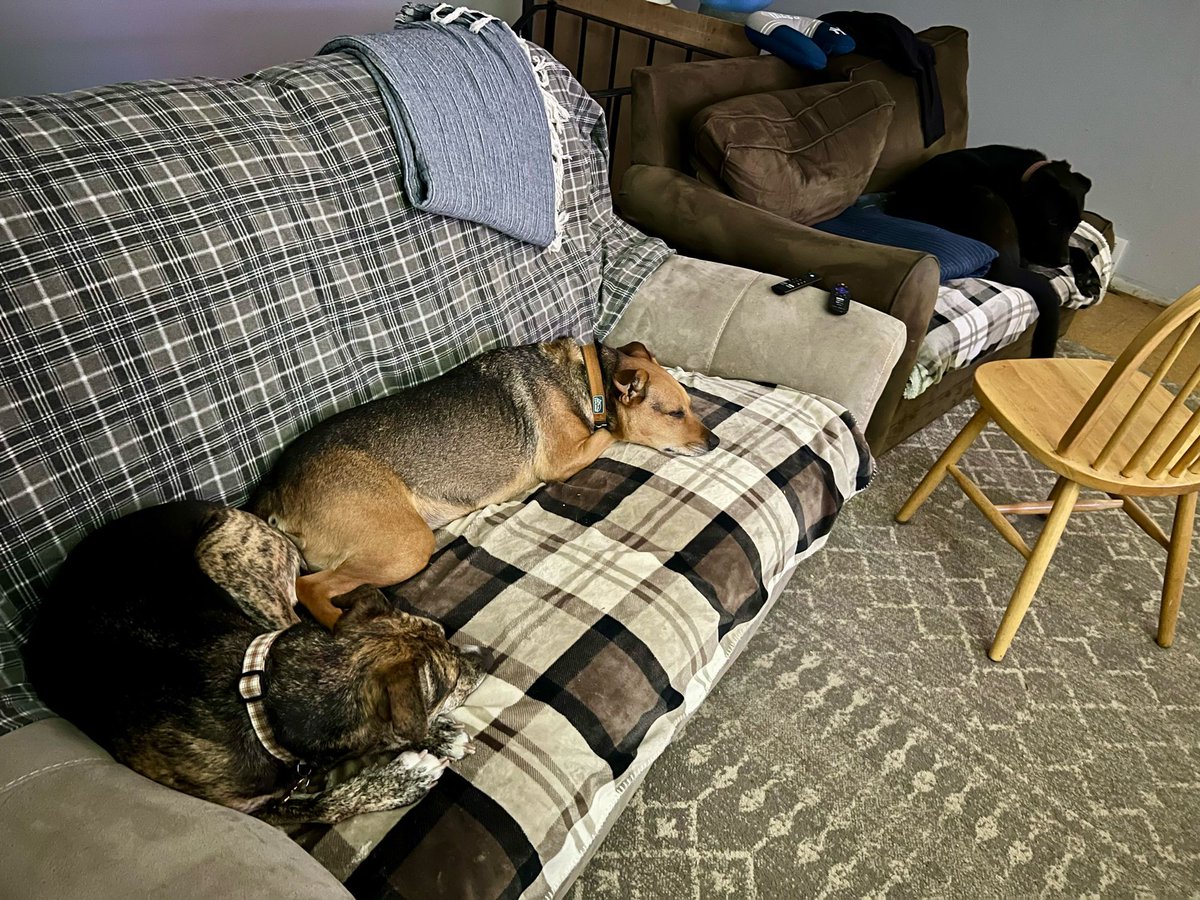 Allentown1711's tweet photo. We gals are just chillin while 3 of the 4 #manboys are out plowing. โ๏ธ
#CousinsAndBestFriends #GirlGang #716 #LakeEffect ๐๐๐โ๐ฆบ๐พ๐ฆด๐งกโ๏ธโ๏ธโ๏ธ https://t.co/HFeErEol7P
