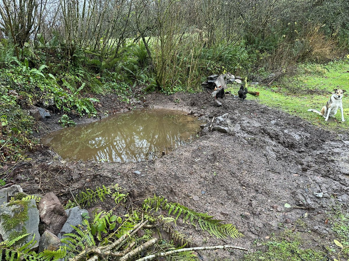 WildlifeKate tweet media