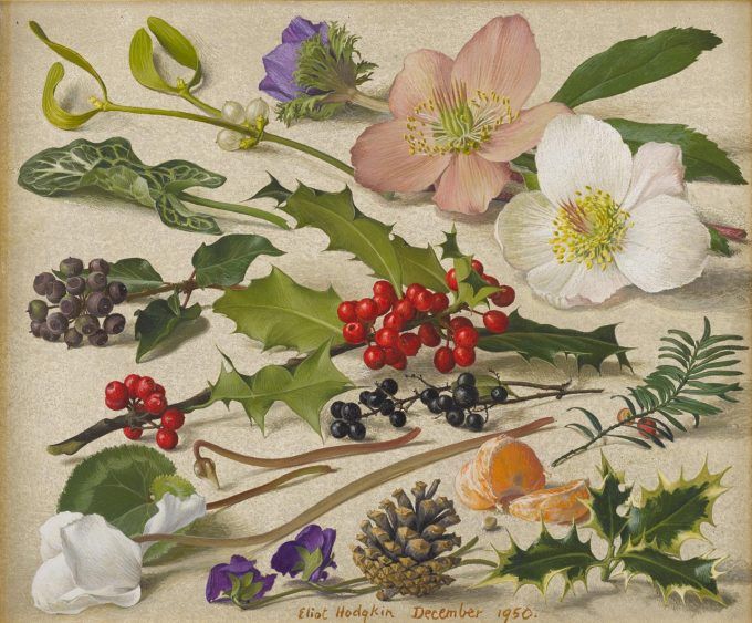 'December' from Eliot Hodgkin's 'The Months', 1950. The first Christmas roses, seasonal greenery, a dainty indoor cyclamen, a shop-bought anemone and two shy early violets.