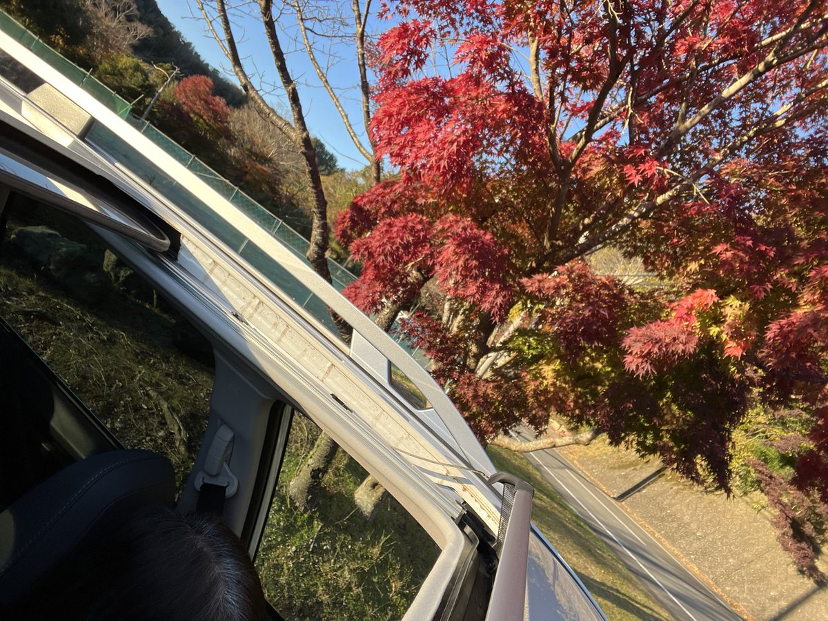 forester_like's tweet photo. いい天気☀️
紅葉見納めです🍁

#紅葉
#フォレスター https://t.co/EUAL0gcola
