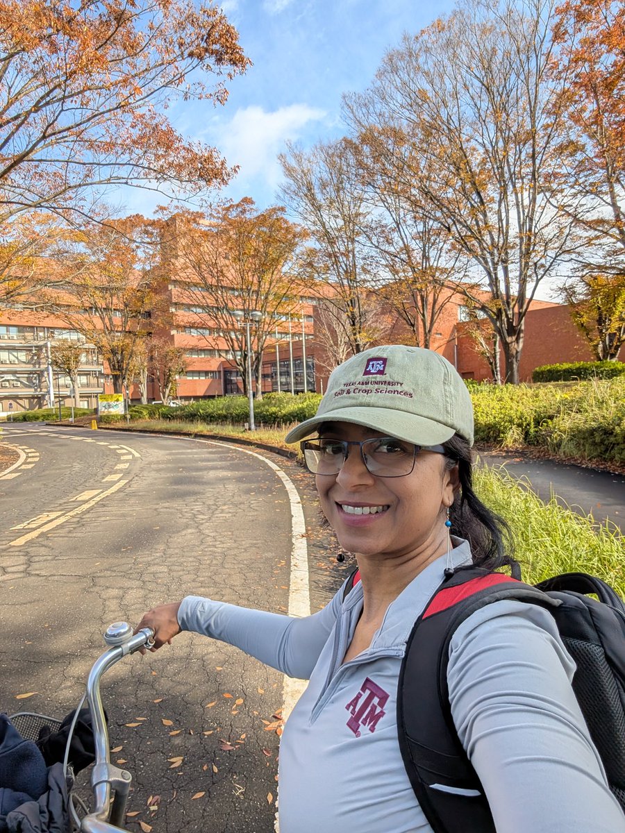 Spending my sabbatical at JIRCAS in Japan collaborating with Dr. Subbarao. His guidance has been instrumental in shaping our work on #BNI in #sorghum. We're now exploring the potential of BNI in #maize, #wheat, and #covercrops for developing #climatesmart varieties. <a href="/tamusoilcrop/">TAMU Department of Soil and Crop Sciences</a>