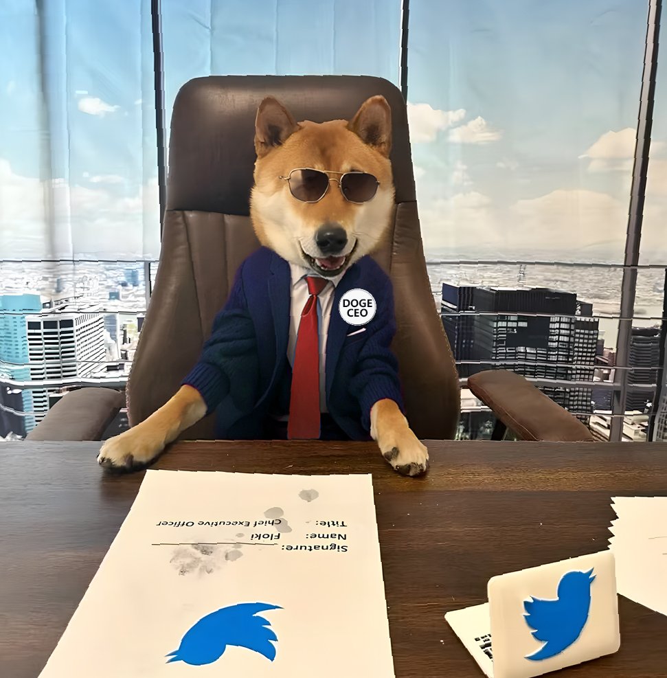 XDOGE CEO tweet media