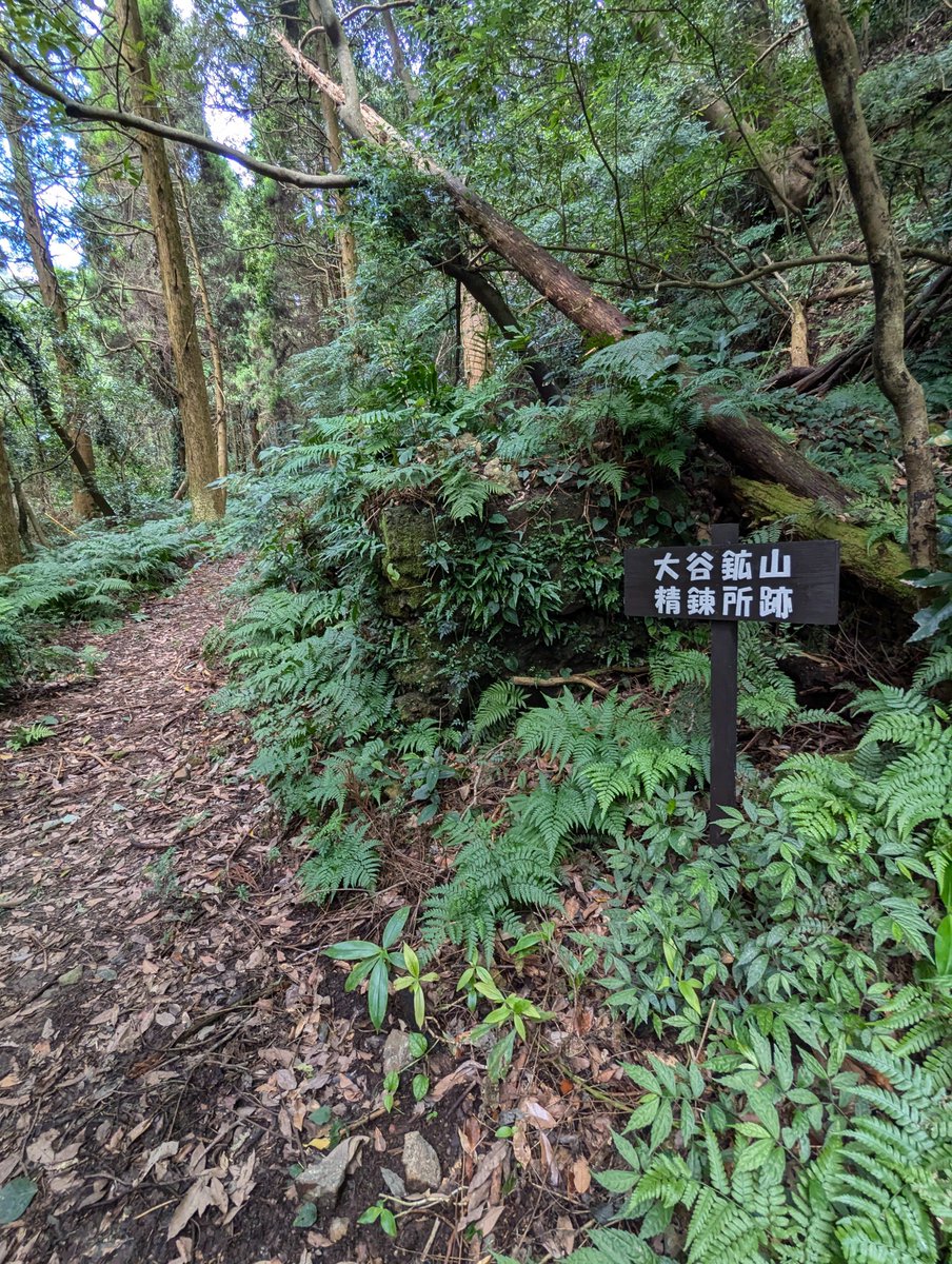 TJkawayoshi's tweet photo. 【指宿・池田】大谷の滝と坑道跡あり。鹿児島県は金山跡がたくさんあり、ここもその一つ？頴娃から鳥越トンネルを抜け、もうすぐ指宿スカイライン入り口てところに「滝」の看板、行ってみると、だんだん道がせまくなり、棒を立てただけの門から徒歩1,5キロくらいで滝があり。途中、鉱山の案内板あり。 https://t.co/FWnAuygQ0O