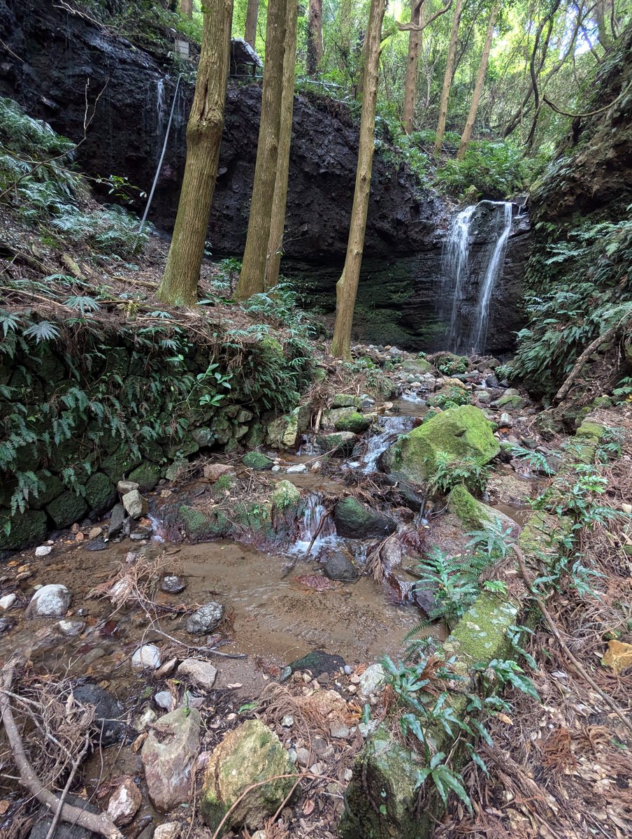 TJkawayoshi's tweet photo. 【指宿・池田】大谷の滝と坑道跡あり。鹿児島県は金山跡がたくさんあり、ここもその一つ？頴娃から鳥越トンネルを抜け、もうすぐ指宿スカイライン入り口てところに「滝」の看板、行ってみると、だんだん道がせまくなり、棒を立てただけの門から徒歩1,5キロくらいで滝があり。途中、鉱山の案内板あり。 https://t.co/FWnAuygQ0O