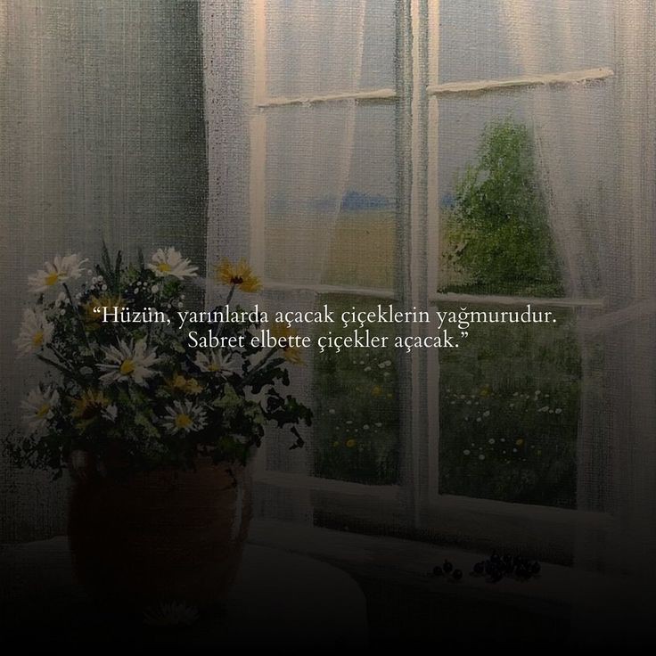 biyusufi's tweet photo. Hüzün, yarınlarda açacak çiçeklerin yağmurudur. Sabret elbette çiçekler açacak. https://t.co/73nY6cr5DV