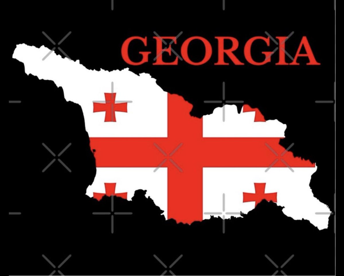 allisonhare's tweet photo. #FreedomForGeorgians
#BraveGeorgia
#GeorgiaIsEurope https://t.co/upim8rlyfu