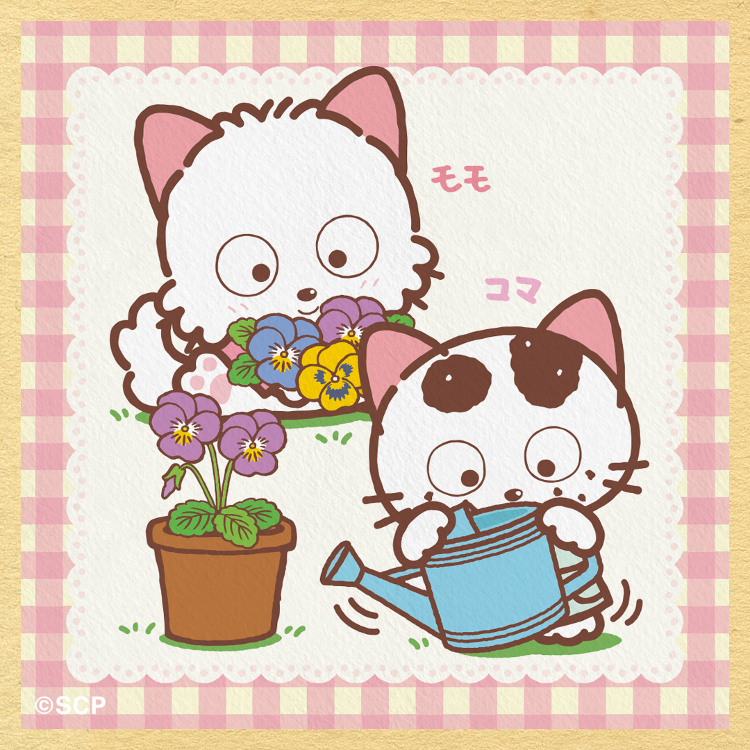 パンジーはちいさく可憐ながら 冬の寒さにもつよく長く楽しめます パンジーはちいさく可憐ながら 冬の寒さにもつよく長く楽しめます
